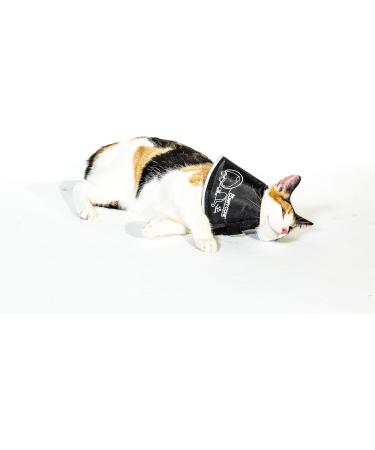 ALL FOR PAWS Comfy Cone Collar for Dogs & Cats - Skin-Colored Brown Size S (14 cm) | International Shipping Available - Buy Online on GoSupps.com