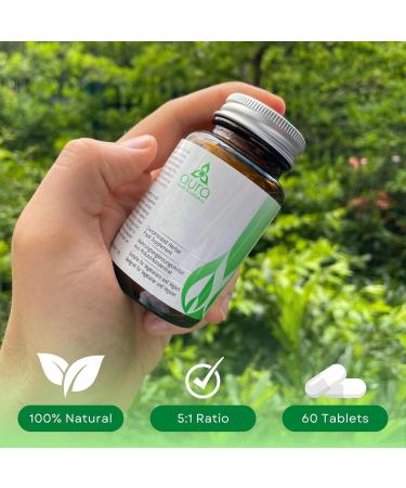 Shi Quan Da Bu Wan | Astragalus & Rehmannia Root Supplement | Chinese Herbal Health Support - Buy Online on GoSupps.com