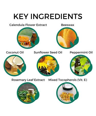 Holocuren Miracle Lips Anti-Aging Lip Serum and SPF 15 Lip Balm 2-Pack 0.33 oz Serum + 0.15 oz Balm - Buy Online on GoSupps.com