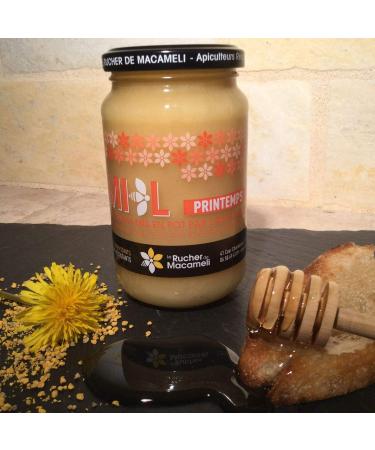 Spring Honey - Monts du Lyonnais - Rh ne Alpes - Le Rucher de Macameli - 500g Pot - Buy Online on GoSupps.com