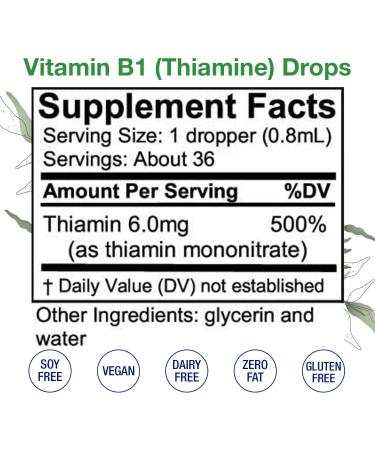 HoneyCombs Liquid Drops 1oz Each Save 10% - High Potency Thiamine Vitamin B1 Extract + Vitamin B5 (Pantothenic Acid) + Vitamin B6 (Pyridoxine) - Buy Online on GoSupps.com