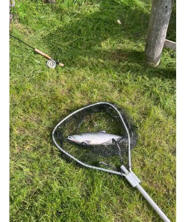 Telescopic Folding Fishing Landing Net 1.9m Pole Collapsible Extensible Aluminum long Handle Stainless Steel Triangular For Bird Fish Catch Aquarium Ponds Floating Objects Carp Trout - Buy Online on GoSupps.com