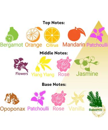 Golden Water 12 ml - METAL | Premium Perfume Oil | Attar Oil | Alcohol-Free | Vegan & Cruelty-Free - Buy Online on GoSupps.com