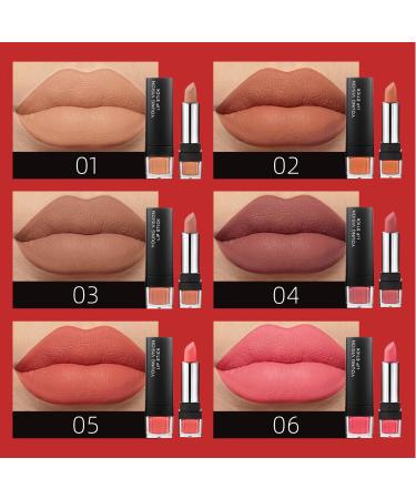 DIARO Matte Lipsticks Set for Women - Long-Lasting Velvet Waterproof Lip Gloss (Pack of 2) - Creamy Texture & Full Color - Buy Online on GoSupps.com