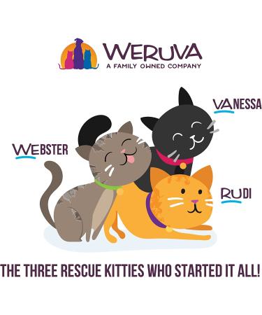 Weruva B.F.F. OMG! Grain-Free Natural Wet Cat Food Pouches - Land & Sea Variety Pack 2.8 oz (12 pack) - Buy Online on GoSupps.com
