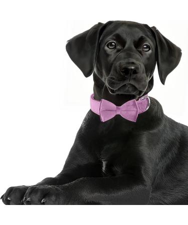 Shop Asvin XL Light Purple Velvety Dog Collar with Removable Fly | Soft Comfortable & Multi-Color for Weddings Birthdays & Parties - International Shipping Available! - Buy Online on GoSupps.com