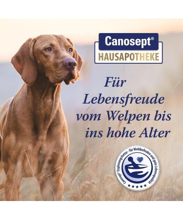 Canosept Joint Tablets for Dogs - Unique Formula with Green Lipped Mussel Glucosamine & Omega 3 - 80 Tablets for Joint & Bone Health Osteoarthritis Relief - Buy Online on GoSupps.com