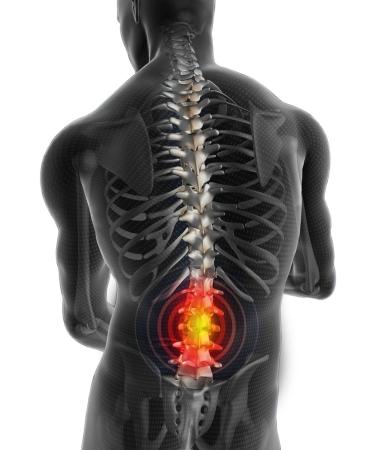 FitMad Neoprene Double Pull Lumbar Support Belt Brace - Small 22-27 - Back Pain Relief - Buy Online on GoSupps.com