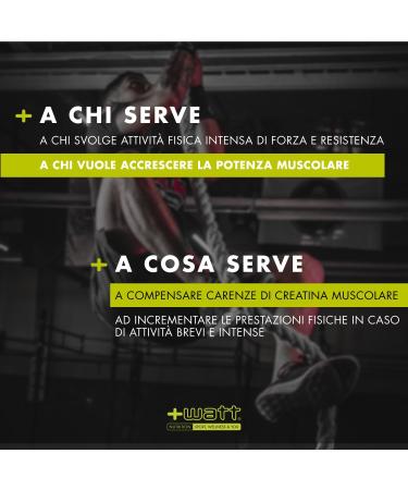 Watt 14054 Creatina+ Gold Food supplement with creatine monohydrate powder 350 gr##*- - Buy Online on GoSupps.com