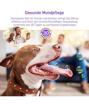 Wechoid Cvreoz Gel for Oral Repair - Toothed Gel for Pets | Combat Bad Breath & Tartar (6PCS) - International Shipping Available - Buy Online on GoSupps.com