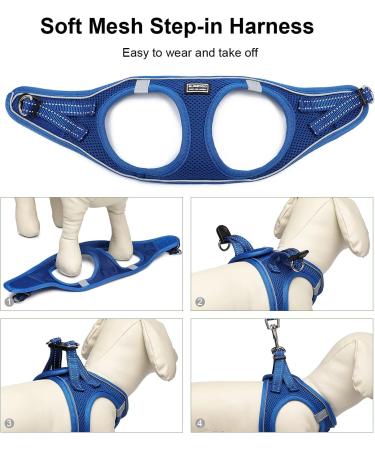 Suredoo Dog Harness with Leash - Anti-Train Reflective Chest Harness for Small Dogs & Cats (Lapis Blue Size L) - Buy Online on GoSupps.com