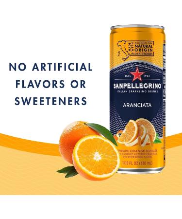  Italian Gourmet E.R. L'Aranciata Lot de 48 bo tes de 330 ml San pellegrino Oranges Limonade Original Orange + Italian Gourmet Pulpa 400 g - Buy Online on GoSupps.com