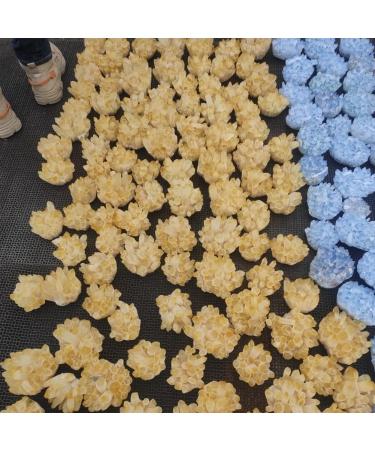 Specimen 1pcs300-700g Big Size Natural Citrine Quartz Geode Druzy Crystal ClusterSpecimen Home DecorationStone Full of Texture (Size : 400-500g) - Buy Online on GoSupps.com