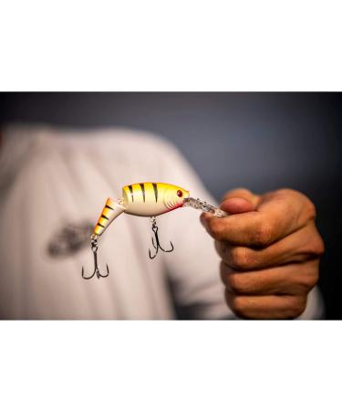Berkley Flicker Shad Jointed Fishing Hard Bait 2 3/4in - Firetail Red Tail - Buy Online on GoSupps.com