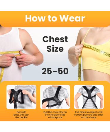 HALLWAY STORIES Back Brace Posture Corrector for Women and Men | Adjustable Upper Back Straightener & Shoulder Brace | Neck Pain Relief (25-50 ) - Buy Online on GoSupps.com