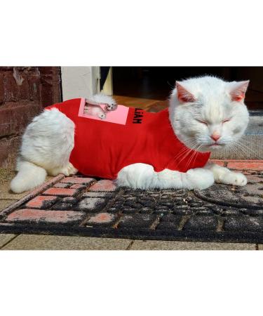 Personalized Custom Dog T-Shirt | Customizable Clothing for Large Dogs Puppies & Cats - Picture & Name - Red - Buy Online on GoSupps.com