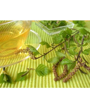 Common Birch Leaf Tea | Feuille De Bouleau Tisane | Folium Betulae | Health Embassy (100g) - Buy Online on GoSupps.com