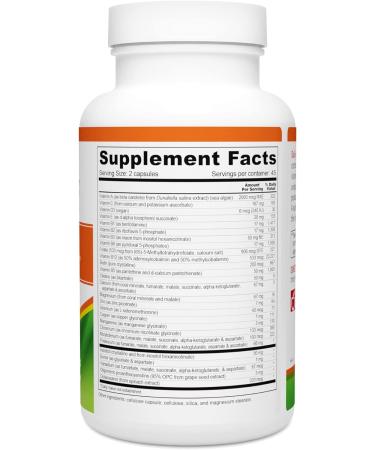 Wellness Resources Daily Multiple Vitamin Without Iron - Vitamin B12 Folate & Bioavailable B Vitamins - 90 Capsules - Buy Online on GoSupps.com
