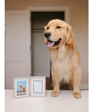 Pearhead Pet Paw Print Photo Frame - DIY No Mess Keepsake Kit for Cats & Dogs | Ideal Memorial Gift in Distressed Gray - Buy Online on GoSupps.com