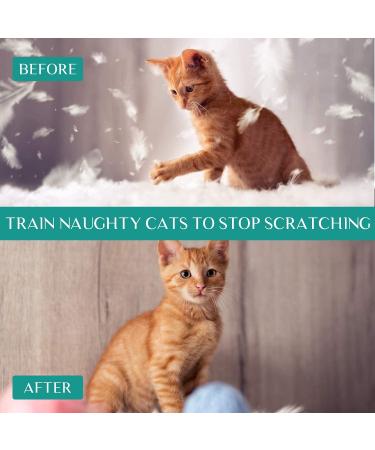 SEGMINISMART Anti-Scratch Training Spray for Cats and Dogs - Protect Plants, Furniture, Floors - Cat Deterrent - Buy Online on GoSupps.com