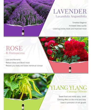 SALKING 100% Pure Essential Oils Gift Set 6 x 10ml - Lavender, Rose, Cherry Blossom, Ylang Ylang, Gardenia, Chamomile - Aromatherapy Therapeutic Grade Scented Oils for Oil Diffusers - Buy Online on GoSupps.com