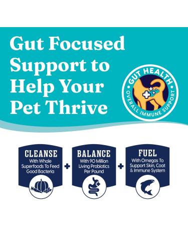 Solid Gold Indigo Moon Dry Cat Food - Probiotics, Grain & Gluten Free, High Fiber, Omega 3, Vitamins - 12lb Pack - Buy Online on GoSupps.com