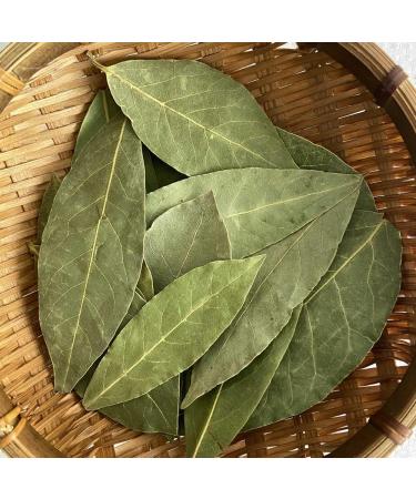 Bay Leaf Myrcia Myrciariagenus Myrciaria Laurel Leaf yueguiye Laurus Nobilis Bayleaf Bay Leaves lambkill bayleaves Laurel Leaves (8 oz) - Buy Online on GoSupps.com
