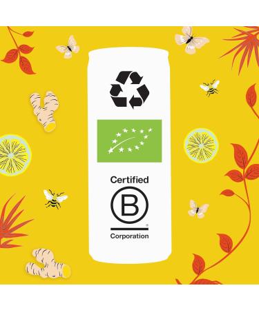 CLIPPER - Organic Refreshing Drink - Fusion Lemon Ginger Rooibos - No added sugar - 25cl x 12 - Buy Online on GoSupps.com