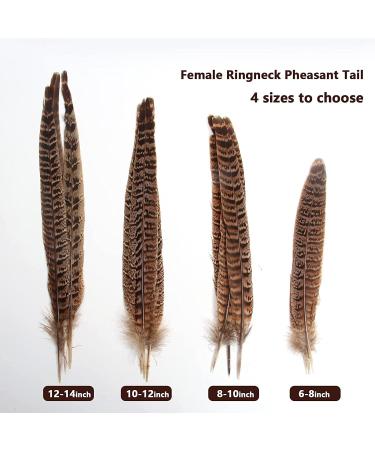 iHUFeather 20pcs Natural Pheasant Female Tails Feathers 6-8inch for DIY Crafts & Decor - Buy Online on GoSupps.com