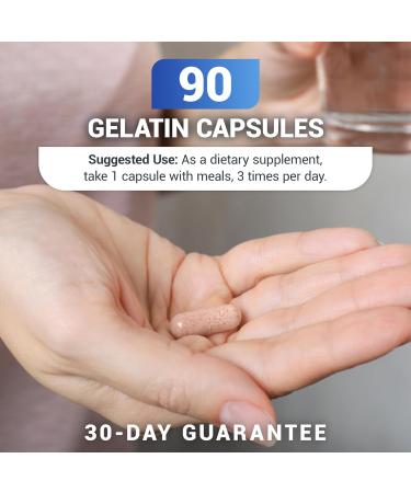 Dr. Berg L-Theanine 200mg - Includes Zinc Copper L-Tyrosine & Ashwagandha L-Theanine Supplement Adrenal Support - for Relaxation Stress Relief and Mental Clarity* 90 Gelatin Capsules - Buy Online on GoSupps.com