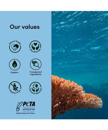 Organic Sun Cream Face SPF 50 - "Nose White" - Firm Waterproof Mineral No Chemicals - Surf Sun Stick with Zinc for Children and Adults - Certified Natural Cosmetics - Buy Online on GoSupps.com