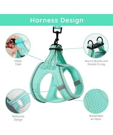 Shop Bella & Pal Small Dog Harness with Leash | Breathable Air Mesh Reflective Anti-Train | Perfect for Puppies & Cats | Mint Light Green (42-50cm) - Buy Online on GoSupps.com