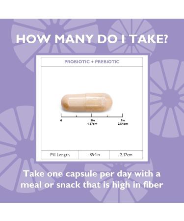 Celebrate Vitamins Balance Probiotic + Prebiotic - Post Bariatric Surgery Daily Supplement for Women & Men 28.5 Billion CFU - Supports Digestive & Immune Health Gluten Free (30 Capsules) 1 Count (Pack of 1) - Buy Online on GoSupps.com