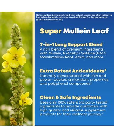 Mullein Leaf Extract & NAC Lung Detox Cleanse- N-Acetyl Cysteine Marshmallow Root Bromelain - Lung Health Sinus Mucus Removal Support Supplement for Smokers - 90 Capsules Non-GMO Gluten-Free - Buy Online on GoSupps.com
