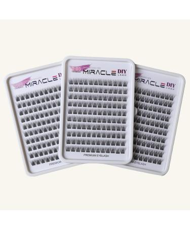 Park Sung Hee Miracle Lash DIY False Eyelashes - Lengthening 9mm-16mm Lash Clusters Contact Lens Friendly Easy to Apply Reusable Strip Lashes (E5-280 13mm - Buy Online on GoSupps.com
