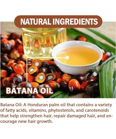 Batana Oil for Hair Growth and Nourishment Natural Batana Oil for Hair Growth for Healthier Thicker Hair Protect and Improve Hair Color Prevent Hair Loss Promotes Hair Strength -120g (3PC) - Buy Online on GoSupps.com