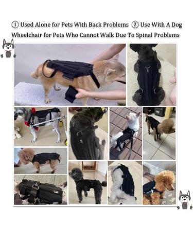 Dog Back Brace IVDD Pet Hip Brace Support with Leash Comfortable Dog Spine Support Vest for Small and Medium Sized Pets with Arthritis Herniated Disc Or Spinal Surgery Recovery (L) - Buy Online on GoSupps.com