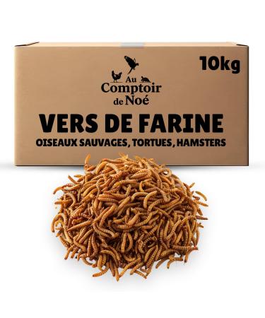 Dried Flour Worms 10 kg Au Comptoir de No 100% Natural Rich in Protein and Good Fats to Fat Flour