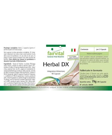Fairvital Psyllium husks dandelion root extract and more 90 capsules with chlorella - Buy Online on GoSupps.com