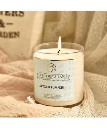 Chloefu LAN Farmhouse Spiced Pumpkin Candle - 100% Natural Soy 14.1oz Large Scented Jar - Ideal Home Gift for Fall & Halloween - Buy Online on GoSupps.com