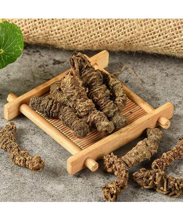 Valerian Root Valerian the Valerian Root the Valerian radix Valerianae the Radix Valerianae valeriana Officinalis Rhizome the Valeriana Officinalis Rhizome xiecaogen (1000 g(2.20 Pound)) 1 count (Pack of 1) - Buy Online on GoSupps.com