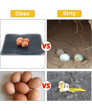 Hamiledyi Chicken Nesting Pads  Hen Nest Mats Washable  Chicken Nesting Box Plastic Liners  Reusable Egg Laying Mats for Chicken Coop Poultry Nest Boxes Ducks Nesting Pads 6PCS - Buy Online on GoSupps.com
