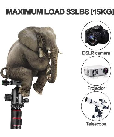 MACTREM 80 Camera Tripod: Heavy Duty DSLR Tripod for Travel - 360 Ball Head, Professional Aluminum, Monopod, Carry Bag - Compatible with Canon Nikon Sony, 33lb Load Capacity, 64.5 Inch - Buy Online on GoSupps.com