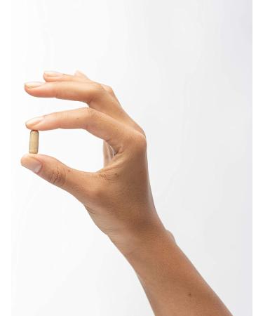 Dr. Mercola Complete Spore Restore - 4 Billion CFU Probiotic Capsules (30 Count) - Buy Online on GoSupps.com