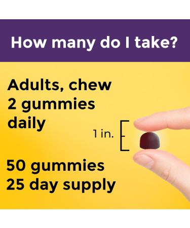 Nature Made Probiotic + Prebiotic Fiber Gummies for Daily Gut Health Fiber Supplement with Probiotics for Digestive Health Support 50 Gummies 25 Day Supply 50 Count (Pack of 1) - Buy Online on GoSupps.com