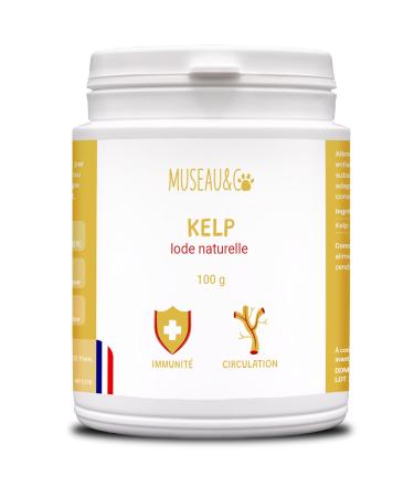 Kelp Powder for Dogs and Cats - 100% Natural Food Supplement - Rich in Iodine and Minerals - Boosts Immune Defenses - Supports the Thyroid - 100g