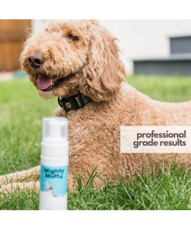 Mighty Mutt Hypoallergenic Waterless Shampoo for Dogs - Dry Foam Anti-Itch Relief | No Rinse Soothing & Deodorizing | Fresh Breeze 8oz - Buy Online on GoSupps.com