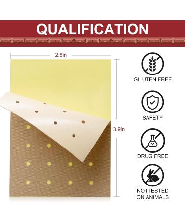 Pain Relieving Chinese Tiger Patch for Shoulder, Back, Knee, Joint & Muscle - 10 PCS - Buy Online on GoSupps.com