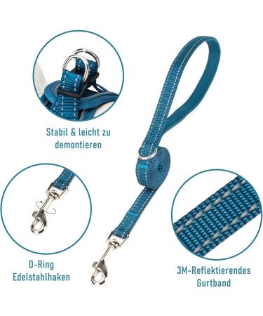 Uvtqssp Dog Harness for Small Dogs with Leash | Padded Puppy Dishes & Indigo Blue Harness Set - Buy Online on GoSupps.com