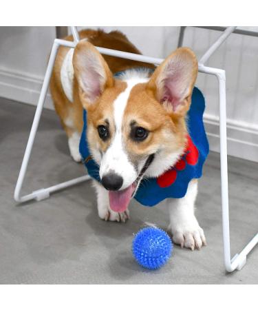 6 Pack Squeaking Rubber Balls for Small Dogs - Bright TPR Puppy Toys with Spikes | Fun Dog Kit - Buy Online on GoSupps.com